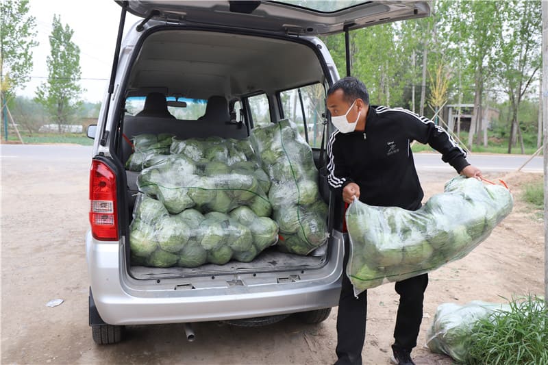 2022-助力農(nóng)村蔬菜收購