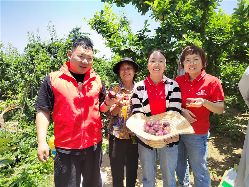 2023-幫助農(nóng)戶銷售紅布林 助力鄉(xiāng)村振興