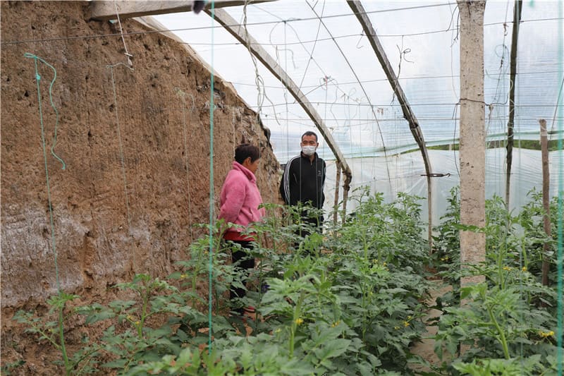 2022-助力農(nóng)村蔬菜收購